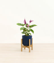 Load image into Gallery viewer, Twilight Blue stand:bamboo
