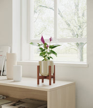 Load image into Gallery viewer, Sage Green stand:walnut