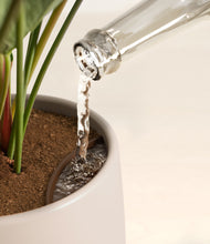 Load image into Gallery viewer, -