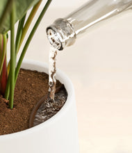 Load image into Gallery viewer, -