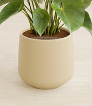 Load image into Gallery viewer, Almond Green stand:all