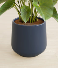 Load image into Gallery viewer, Deep Navy stand:all