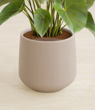 Load image into Gallery viewer, Eternal Gray stand:all