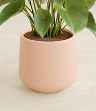 Load image into Gallery viewer, Gentle Pink stand:all