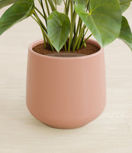 Load image into Gallery viewer, Calm Rose stand:all