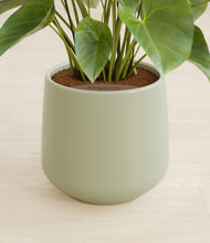 Load image into Gallery viewer, Turquoise stand:all