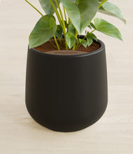 Load image into Gallery viewer, Black stand:all