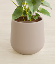 Load image into Gallery viewer, Eternal Gray stand:all