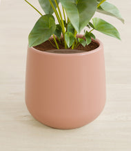 Load image into Gallery viewer, Calm Rose stand:all