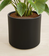 Load image into Gallery viewer, Black stand:all