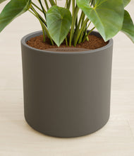 Load image into Gallery viewer, Dark Olive stand:all