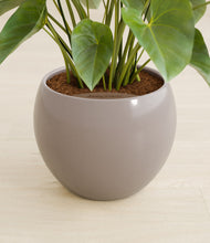 Load image into Gallery viewer, Winter Clouds stand:all