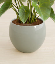 Load image into Gallery viewer, Deep Ocean stand:all