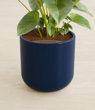 Load image into Gallery viewer, Twilight Blue stand:all