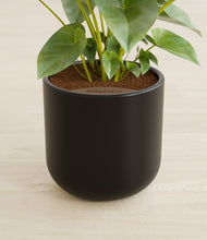 Load image into Gallery viewer, Stone Black stand:all