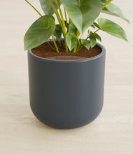 Load image into Gallery viewer, Iron Gray stand:all