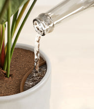 Load image into Gallery viewer, -