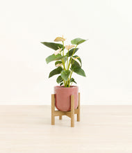 Load image into Gallery viewer, Hammered Rose Pink stand:bamboo