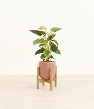 Load image into Gallery viewer, Striped Rose Pink stand:bamboo