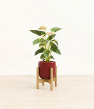 Load image into Gallery viewer, Striped Cherry Red stand:bamboo