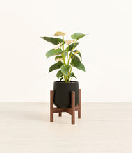 Load image into Gallery viewer, Black stand:walnut