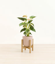 Load image into Gallery viewer, Sandy Pink stand:bamboo