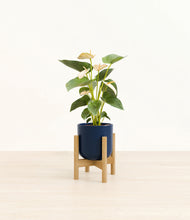 Load image into Gallery viewer, Twilight Blue stand:bamboo