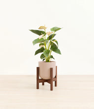 Load image into Gallery viewer, Sandy Pink stand:walnut