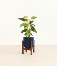 Load image into Gallery viewer, Twilight Blue stand:walnut