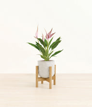 Load image into Gallery viewer, Hammered Ivory stand:bamboo