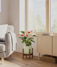 Load image into Gallery viewer, Turquoise stand:walnut