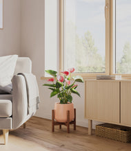 Load image into Gallery viewer, Calm Rose stand:walnut