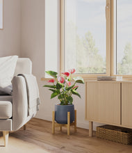 Load image into Gallery viewer, Deep Navy stand:bamboo