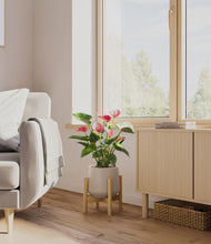 Load image into Gallery viewer, Eternal Gray stand:bamboo