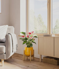 Load image into Gallery viewer, Mustard stand:bamboo