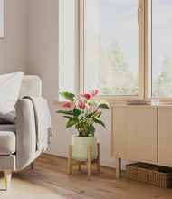 Load image into Gallery viewer, Turquoise stand:bamboo