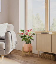 Load image into Gallery viewer, Calm Rose stand:bamboo