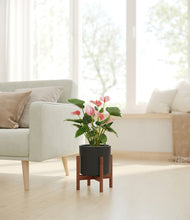 Load image into Gallery viewer, Black stand:walnut