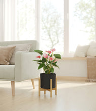 Load image into Gallery viewer, Black stand:bamboo