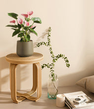 Load image into Gallery viewer, Olive