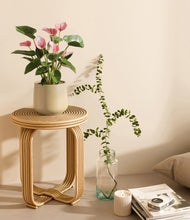 Load image into Gallery viewer, Almond Green