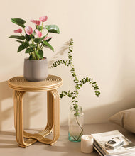 Load image into Gallery viewer, Eternal Gray