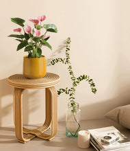 Load image into Gallery viewer, Mustard