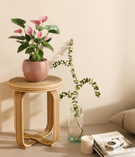 Load image into Gallery viewer, Calm Rose