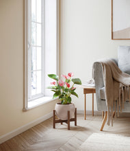 Load image into Gallery viewer, Desert Brown