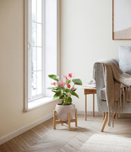 Load image into Gallery viewer, Desert Brown