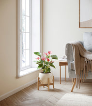 Load image into Gallery viewer, Shiny EggWhite