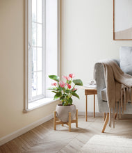 Load image into Gallery viewer, Winter Clouds