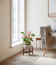 Load image into Gallery viewer, Winter Clouds