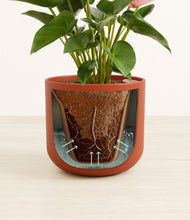 Load image into Gallery viewer, Earth Red